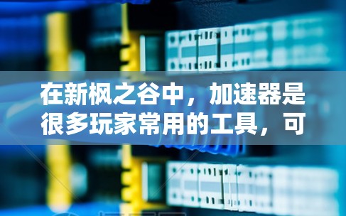 在新枫之谷中，<strong>加速器</strong>是很多玩家常用的工具，可以加速游戏中的操作。如果你正在寻找<strong>加速器</strong>，并且对免费的<strong>加速器</strong>感兴趣，可以尝试以下方法