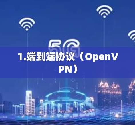 1.端到端协议（OpenVPN）
