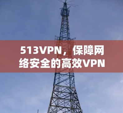 513VPN，保障网络安全的高效VPN加速器推荐