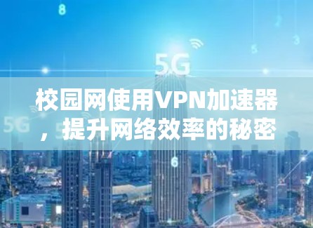 校园网使用VPN加速器，提升网络效率的秘密