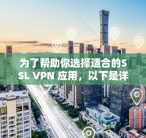 为了帮助你选择适合的SSL VPN 应用，以下是详细的建议，根据你的使用场景和需求来决定